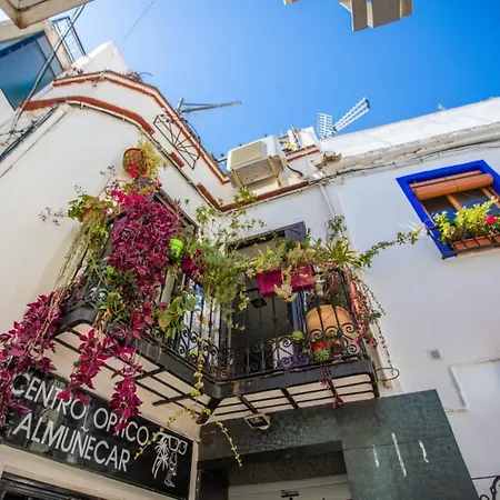 Frida Apartmán